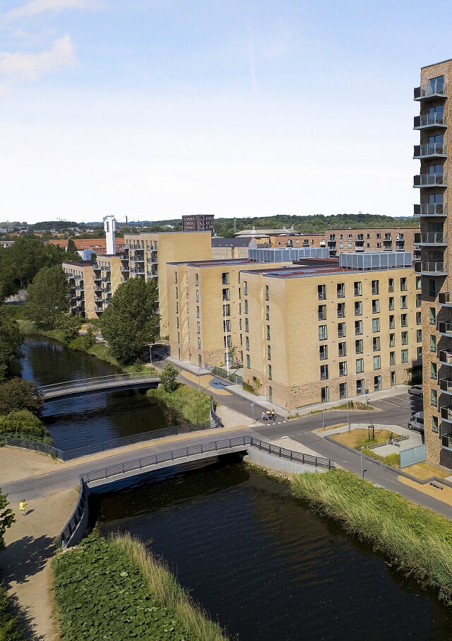 Horsens asset