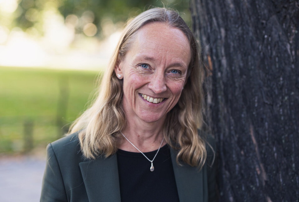 Karin Witalis